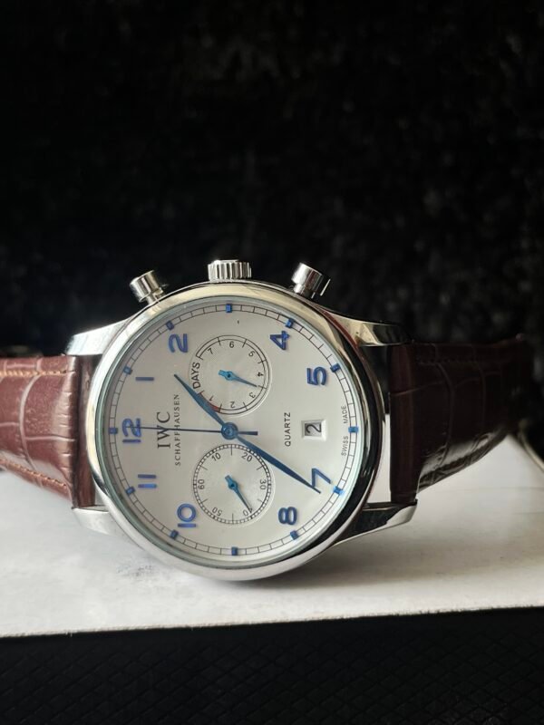Iwc watch