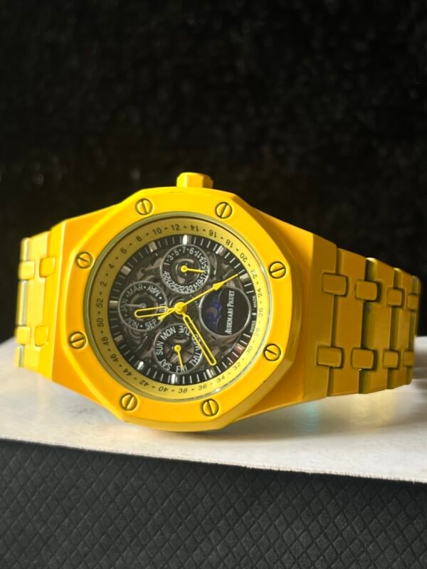 Audemars piguet watch